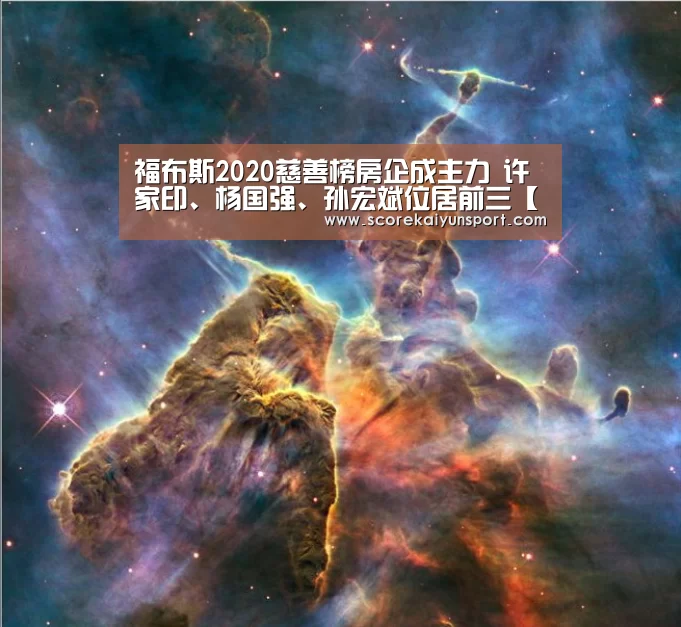 福布斯2020慈善榜房企成主力 许家印、杨国强、孙宏斌位居前三【开云入口】(图2) 开云体育